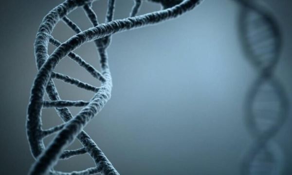 Ученые обнаружили новую &laquo;горячую точку&raquo; возникновения мутаций в человеческом геноме