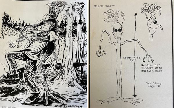 Нападение кровососущего &laquo;овощного&raquo; пришельца