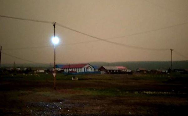 После таинственного затемнения в Якутии нашли более 50 внезапно умерших птиц