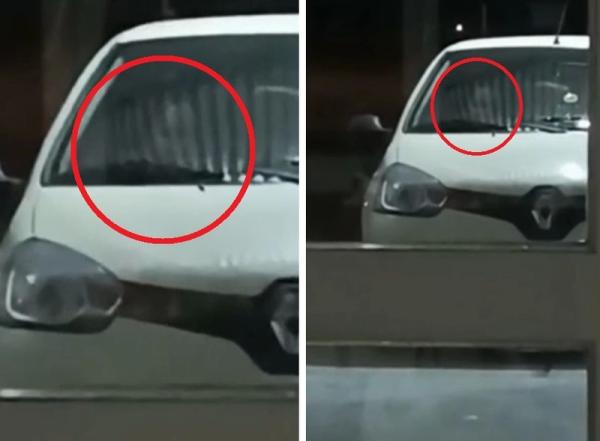 Призрак в автомобиле: Странное существо напугало аргентинского врача