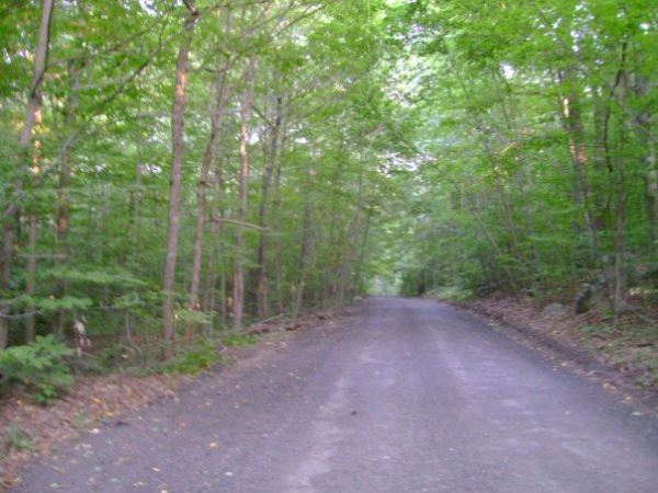 "Дынеголовые" - жуткие персонажи городских легенд Огайо