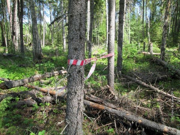 В поселке Речной пять лет назад странным образом пропали четверо человек. Трое из них бесследно.
