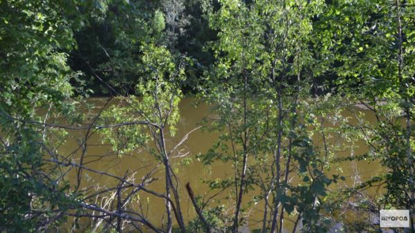 В поселке Речной пять лет назад странным образом пропали четверо человек. Трое из них бесследно.