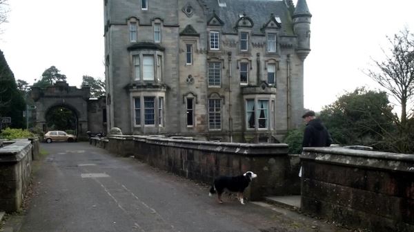 Загадка моста, с которого прыгают собаки. Влияние призраков или проклятие?