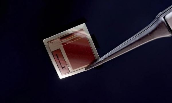 Учёные создали сверхтонкий чип с 65 тысячами электродов для прямого контакта с мозгом