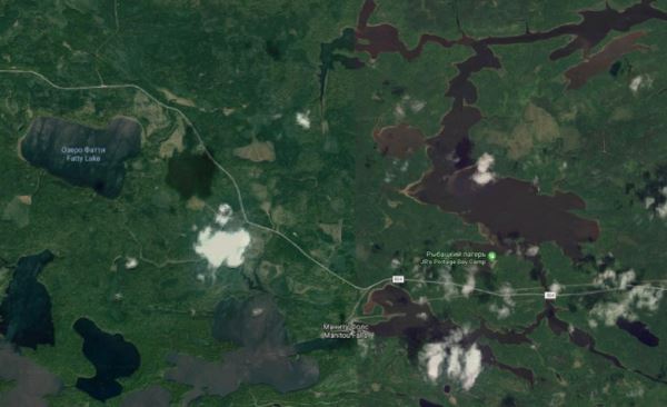 Наблюдение длинного тощего крылатого существа в Онтарио