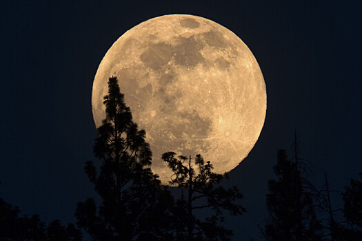 Российский космонавт раскрыл, где лучше всего строить поселения на&nbsp;Луне