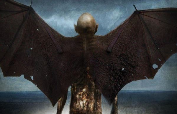 Наблюдение длинного тощего крылатого существа в Онтарио