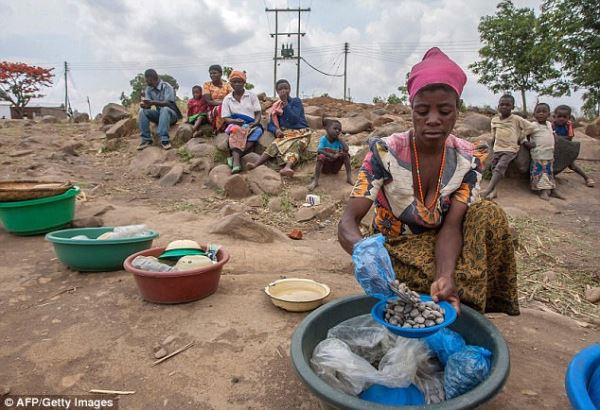 Жители Малави в панике: На людей нападают вампиры и высасывают у них кровь