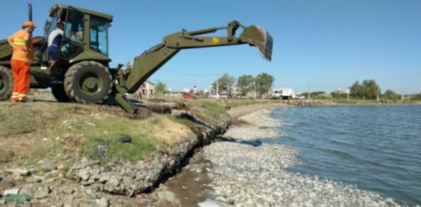 На берег Аргентины внезапно выбросило тысячи рыб