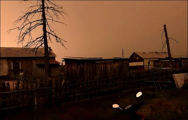 После таинственного затемнения в Якутии нашли более 50 внезапно умерших птиц