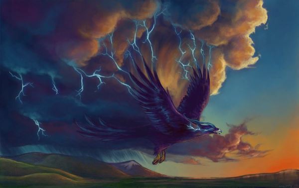 Город Джуно на Аляске взбудоражен словами очевидца о наблюдении им огромной птицы